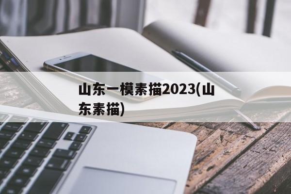 山东一模素描2023(山东素描)