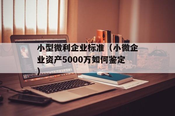 小型微利企业标准（小微企业资产5000万如何鉴定）