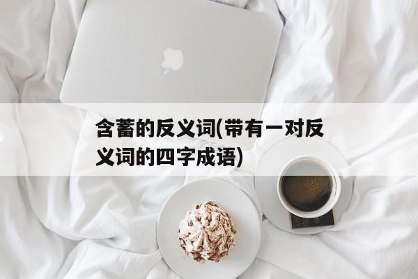 含蓄的反义词(带有一对反义词的四字成语)