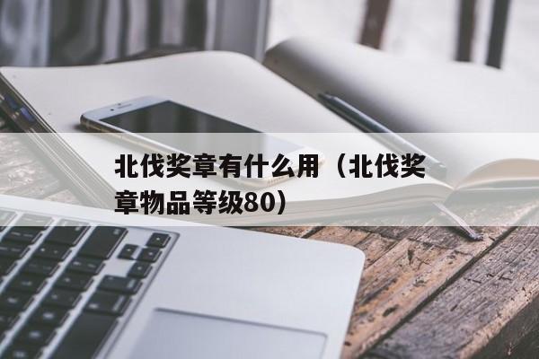 北伐奖章有什么用（北伐奖章物品等级80）