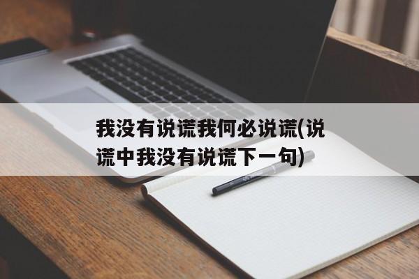 我没有说谎我何必说谎(说谎中我没有说谎下一句)