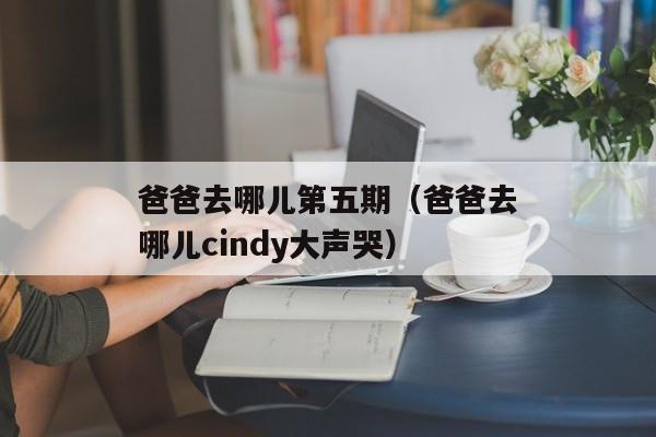 爸爸去哪儿第五期（爸爸去哪儿cindy大声哭）