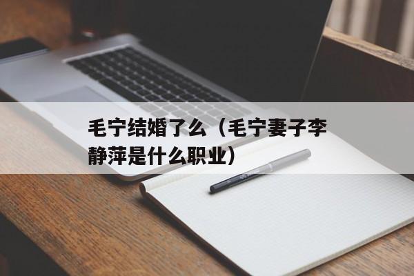 毛宁结婚了么（毛宁妻子李静萍是什么职业）