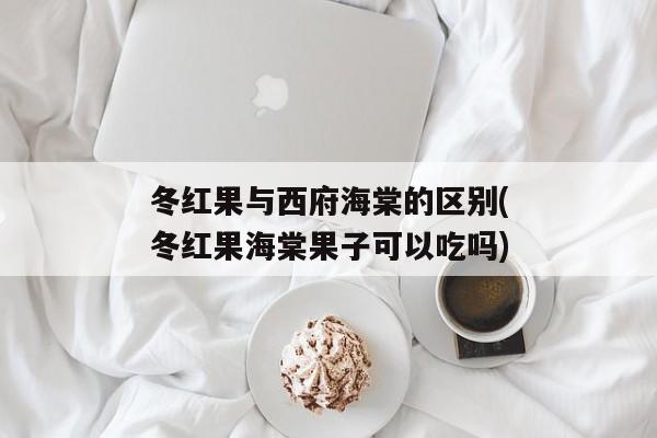 冬红果与西府海棠的区别(冬红果海棠果子可以吃吗)