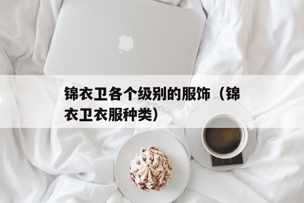 锦衣卫各个级别的服饰（锦衣卫衣服种类）