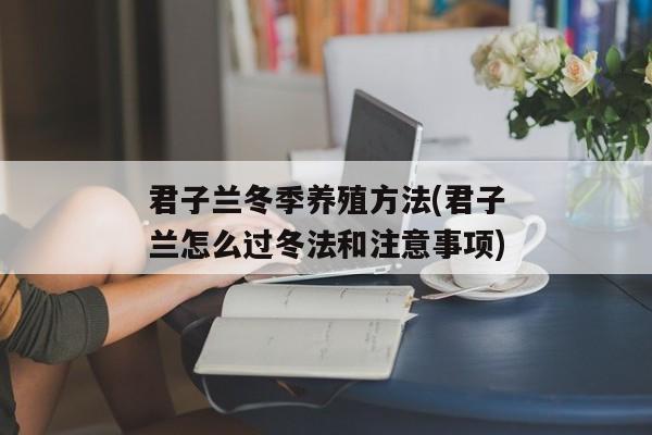 君子兰冬季养殖方法(君子兰怎么过冬法和注意事项)