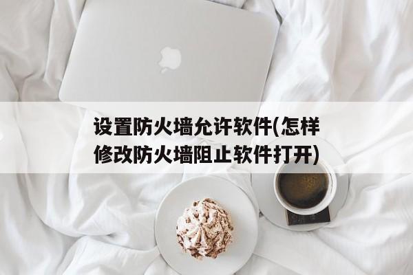 设置防火墙允许软件(怎样修改防火墙阻止软件打开)