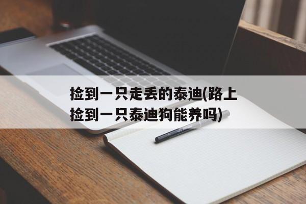 捡到一只走丢的泰迪(路上捡到一只泰迪狗能养吗)