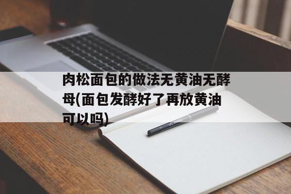 肉松面包的做法无黄油无酵母(面包发酵好了再放黄油可以吗)