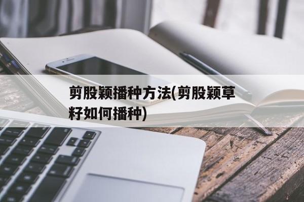 剪股颖播种方法(剪股颖草籽如何播种)