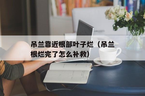 吊兰靠近根部叶子烂（吊兰根烂完了怎么补救）