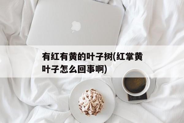 有红有黄的叶子树(红掌黄叶子怎么回事啊)