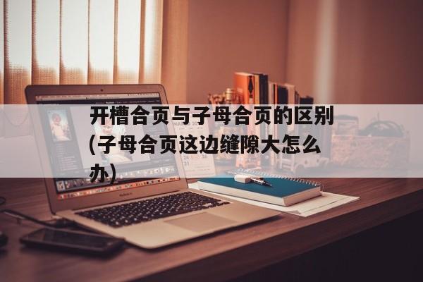 开槽合页与子母合页的区别(子母合页这边缝隙大怎么办)