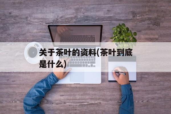 关于茶叶的资料(茶叶到底是什么)