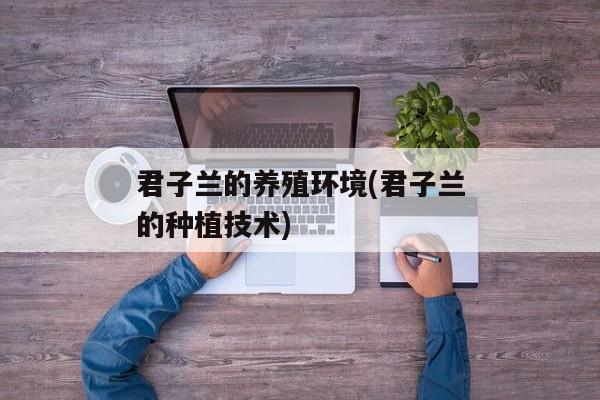 君子兰的养殖环境(君子兰的种植技术)