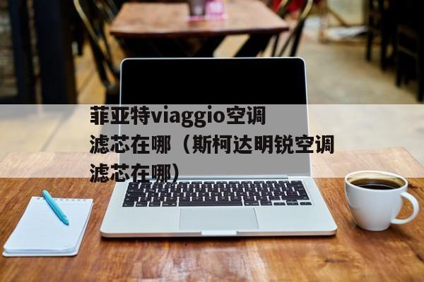 菲亚特viaggio空调滤芯在哪（斯柯达明锐空调滤芯在哪）