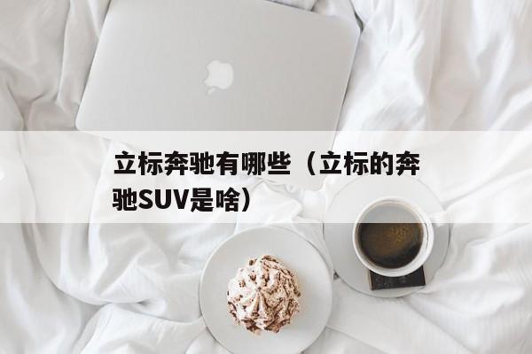 立标奔驰有哪些（立标的奔驰SUV是啥）