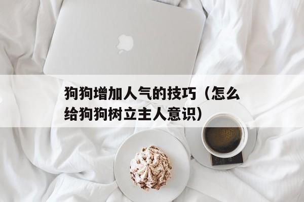 狗狗增加人气的技巧（怎么给狗狗树立主人意识）