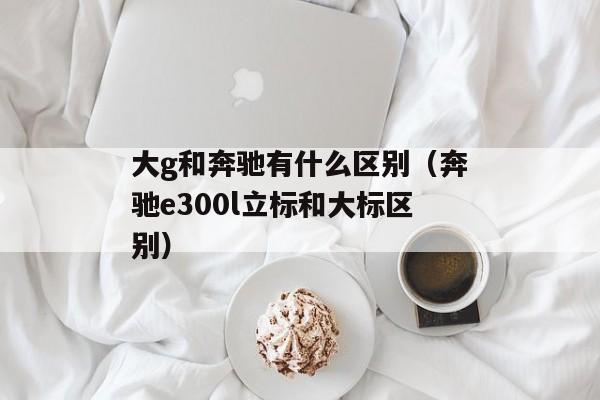 大g和奔驰有什么区别（奔驰e300l立标和大标区别）