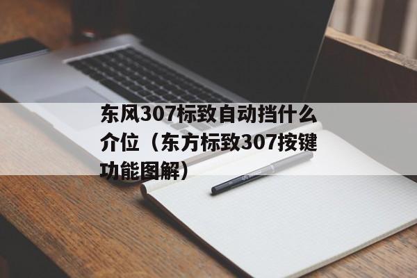 东风307标致自动挡什么介位（东方标致307按键功能图解）