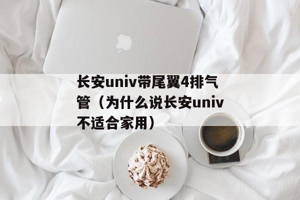 长安univ带尾翼4排气管（为什么说长安univ不适合家用）