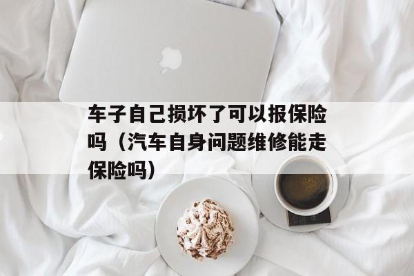 车子自己损坏了可以报保险吗（汽车自身问题维修能走保险吗）