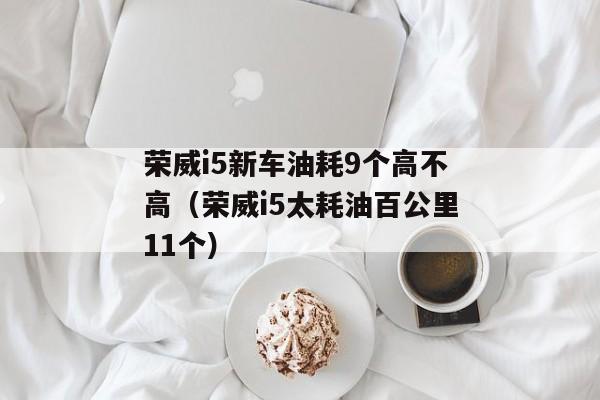 荣威i5新车油耗9个高不高（荣威i5太耗油百公里11个）