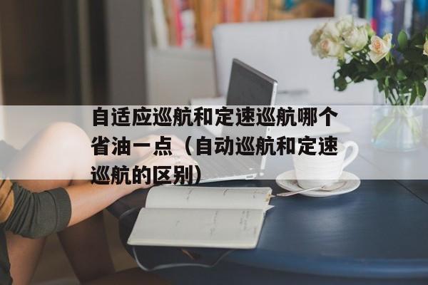 自适应巡航和定速巡航哪个省油一点（自动巡航和定速巡航的区别）