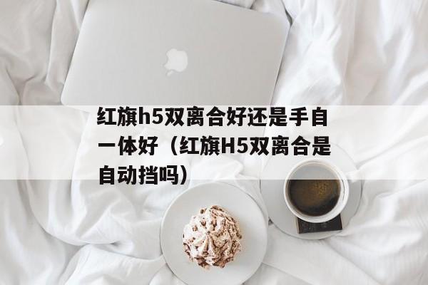 红旗h5双离合好还是手自一体好（红旗H5双离合是自动挡吗）