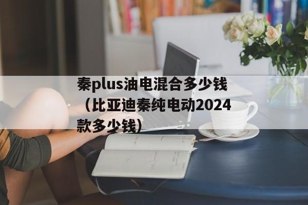 秦plus油电混合多少钱（比亚迪秦纯电动2024款多少钱）