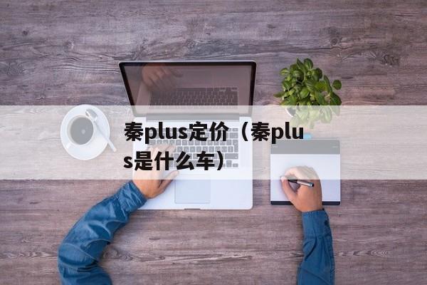 秦plus定价（秦plus是什么车）