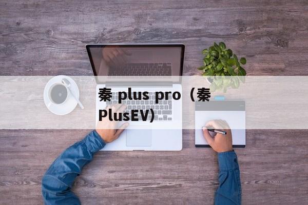 秦 plus pro（秦PlusEV）