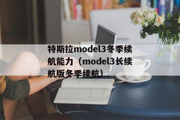 特斯拉model3冬季续航能力（model3长续航版冬季续航）