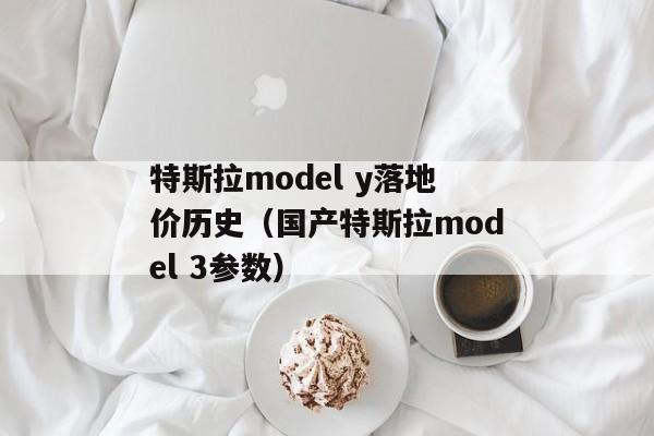 特斯拉model y落地价历史（国产特斯拉model 3参数）