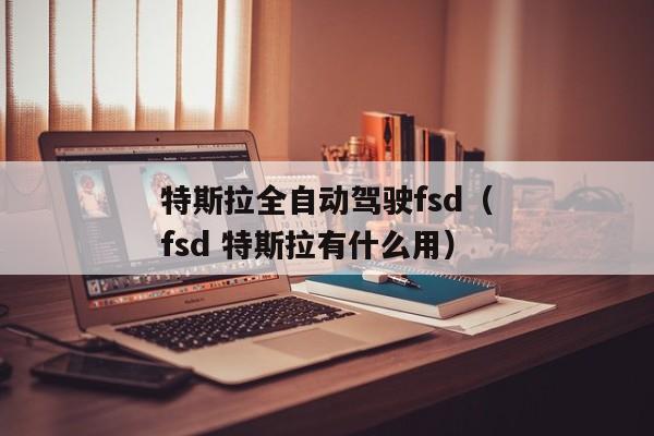 特斯拉全自动驾驶fsd（fsd 特斯拉有什么用）