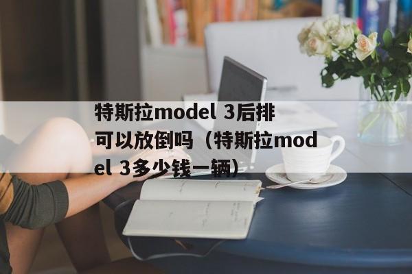 特斯拉model 3后排可以放倒吗（特斯拉model 3多少钱一辆）