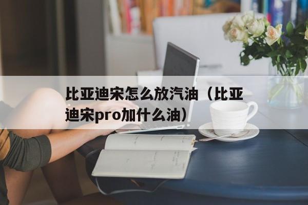 比亚迪宋怎么放汽油（比亚迪宋pro加什么油）