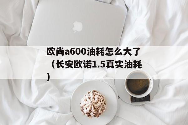 欧尚a600油耗怎么大了（长安欧诺1.5真实油耗）