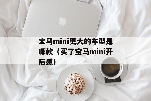 宝马mini更大的车型是哪款（买了宝马mini开后感）