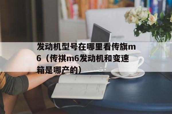 发动机型号在哪里看传旗m6（传祺m6发动机和变速箱是哪产的）