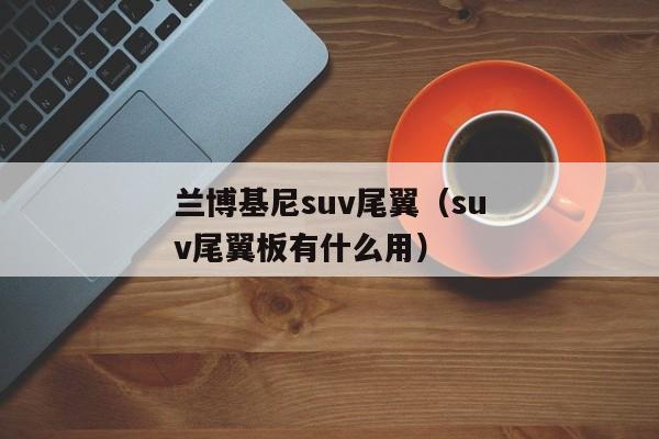 兰博基尼suv尾翼（suv尾翼板有什么用）